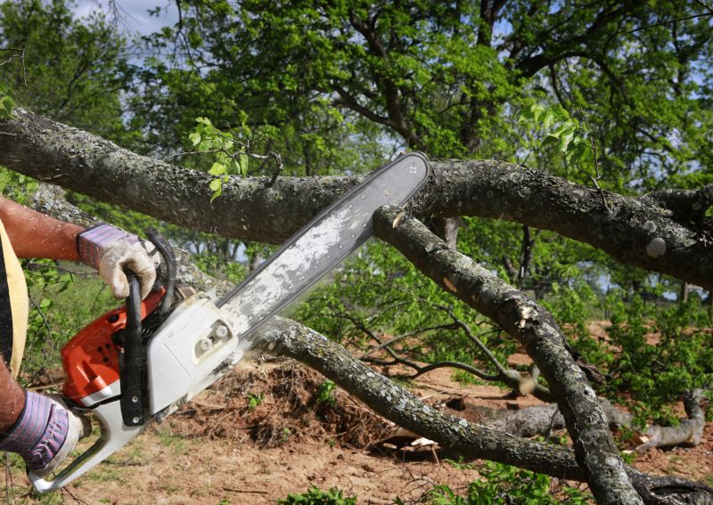 Residential Tree Service detail